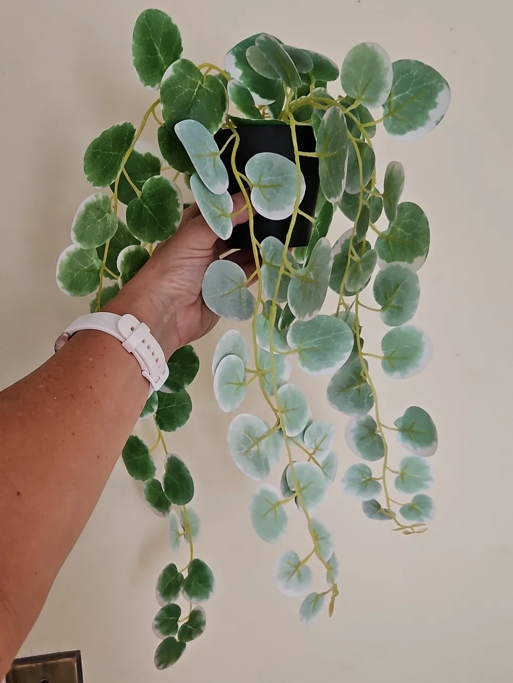 Lifelike Hanging Faux Plant - Green #279